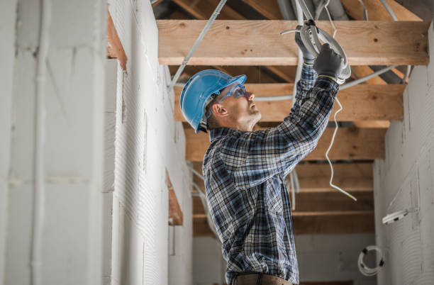 Best Electric Panel Repair  in Agler Estates, FL