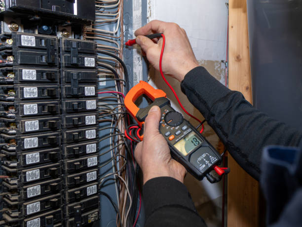 Best Electrical Troubleshooting Services  in Agler Estates, FL