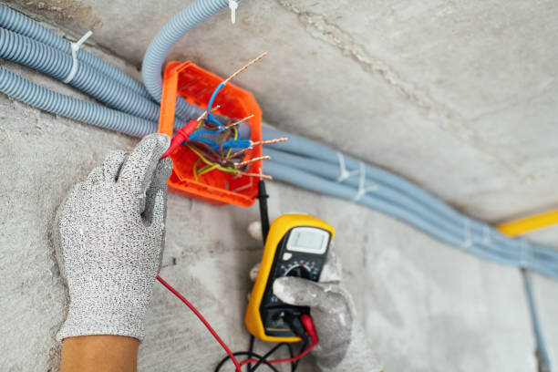 Best Emergency Electrical Repair  in Agler Estates, FL